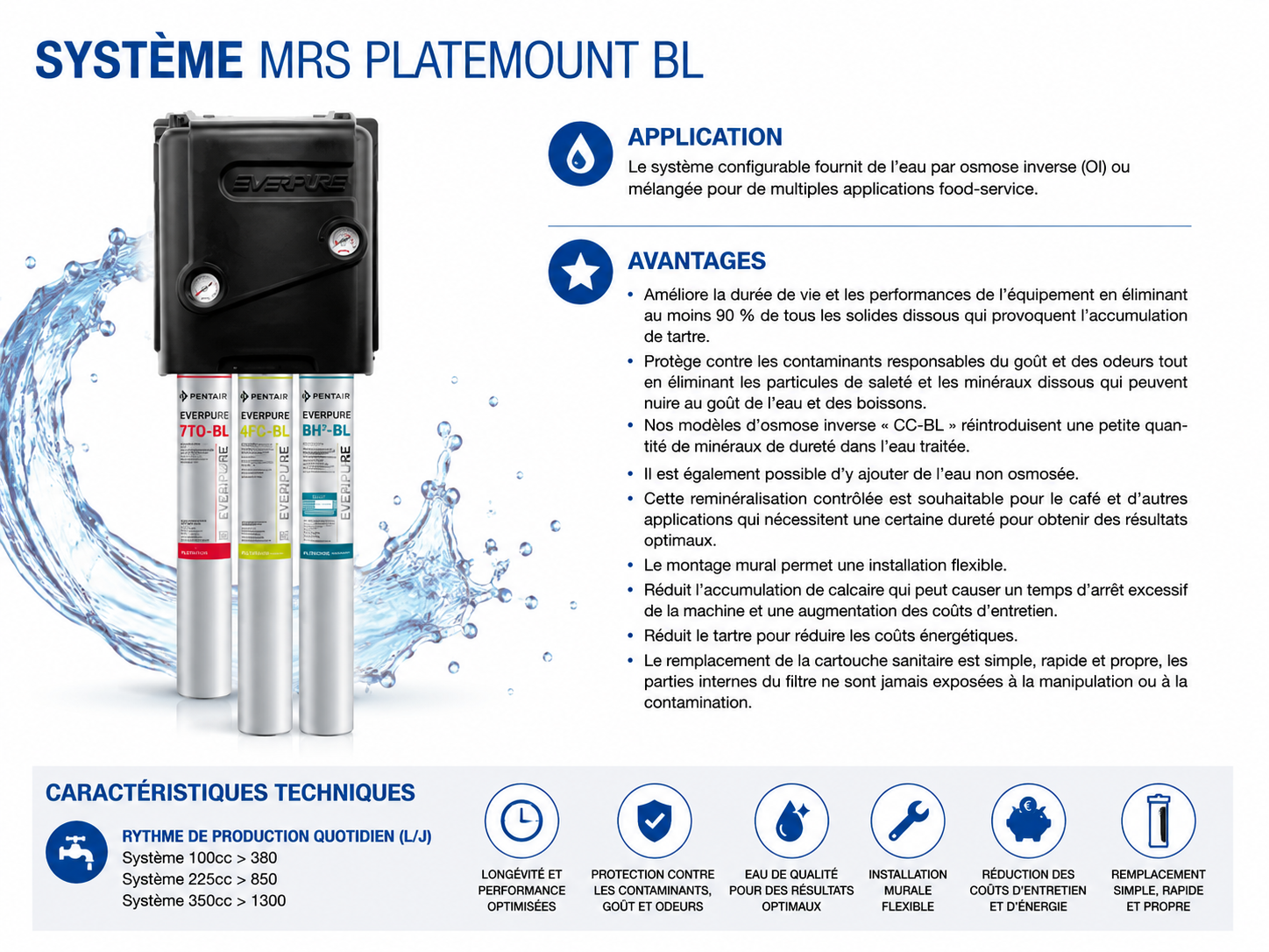 Système d'Osmose Inverse Pentair Everpure MRS Platemount BL — Reminéralisation